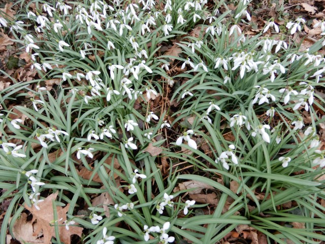 22.2. 2022 - foto