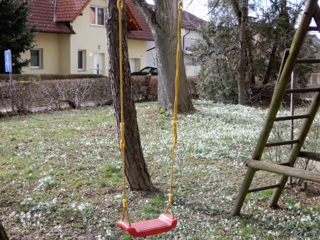 22.2. 2022 - foto