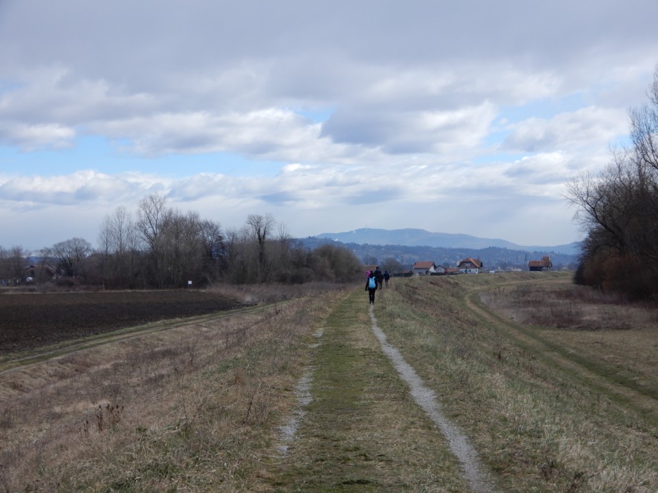 23. 2. 2022 - foto povečava