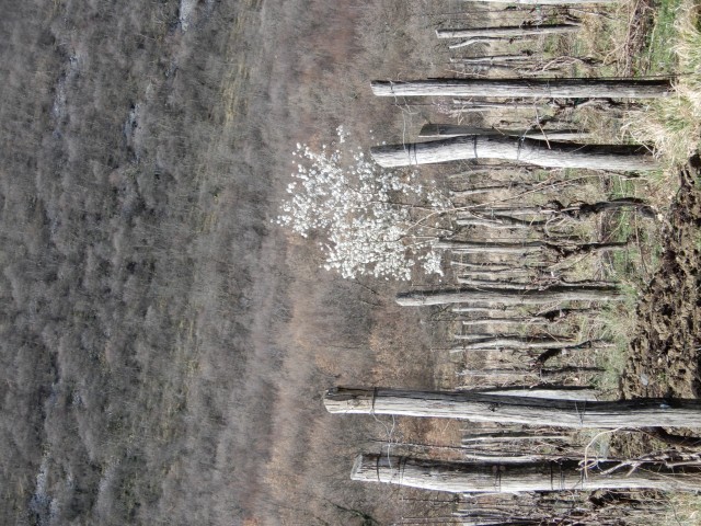 26. 2. 2022 - foto