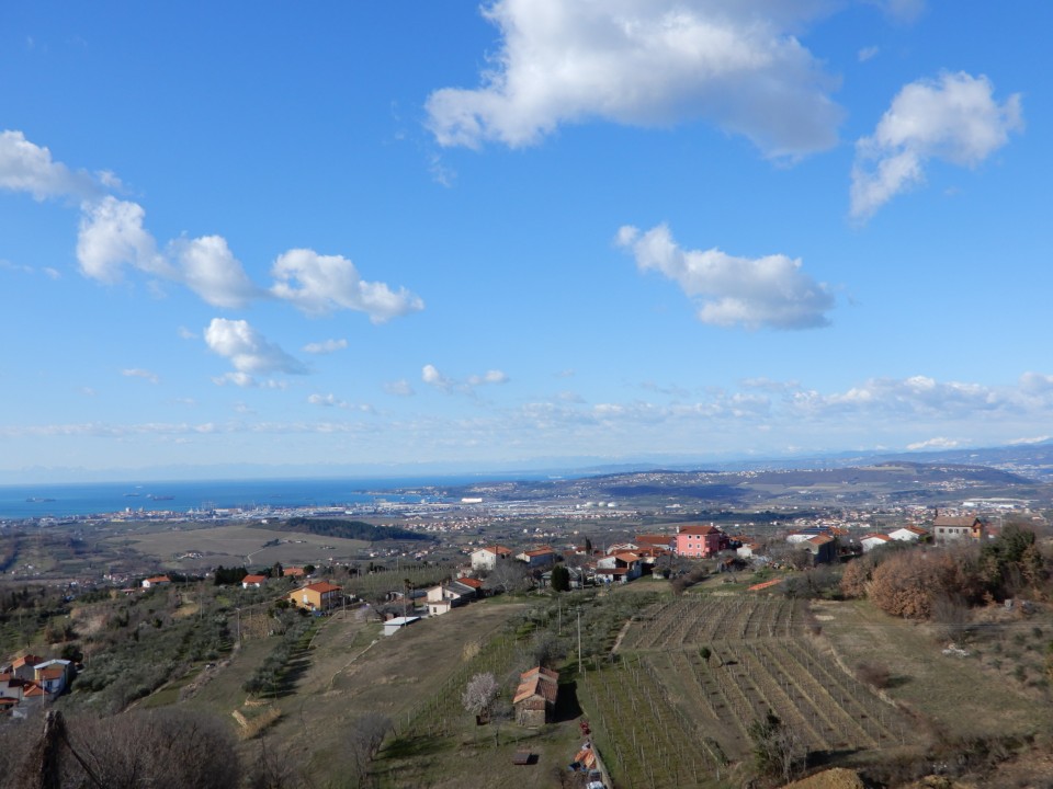 26. 2. 2022 - foto povečava