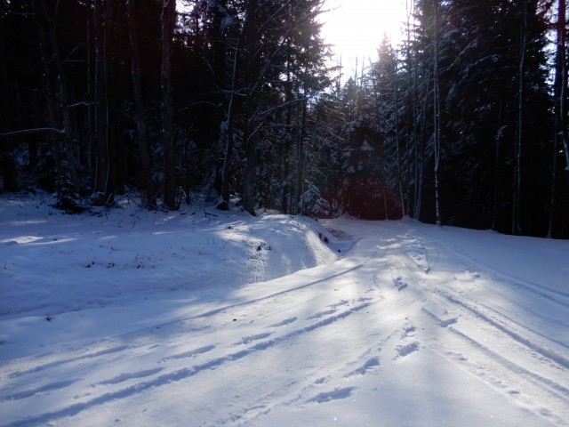 28. 2. 2022 - foto