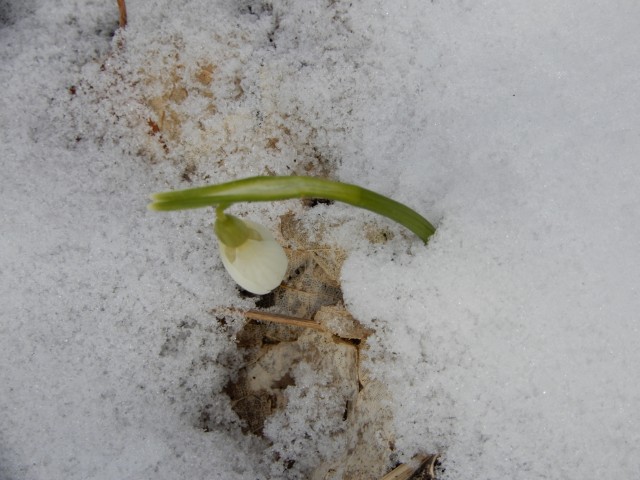 28. 2. 2022 - foto
