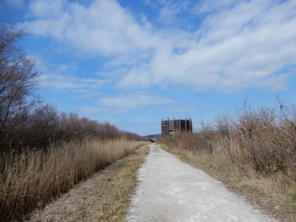 14. 3. 2022 - foto povečava