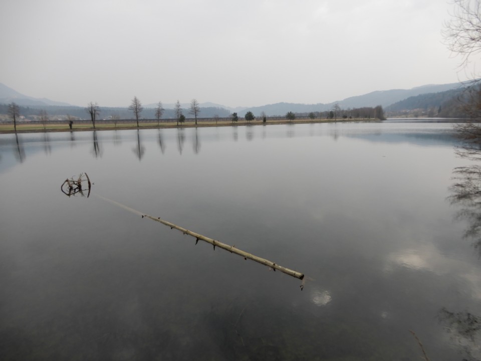 16. 3. 2022 - foto povečava