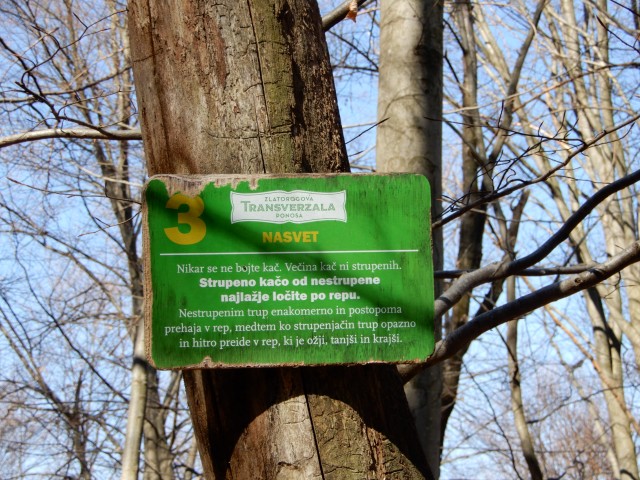 21. 3. 2022 - foto