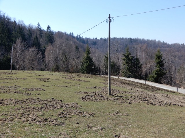 21. 3. 2022 - foto