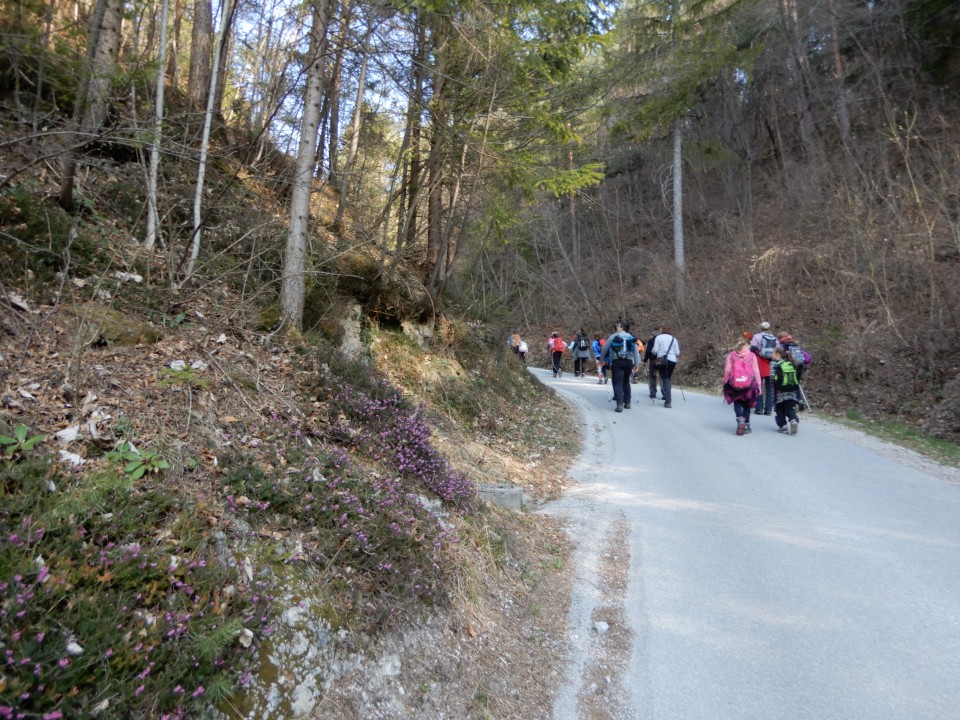 26. 3. 2022 - foto povečava