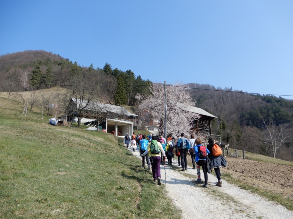 26. 3. 2022 - foto povečava