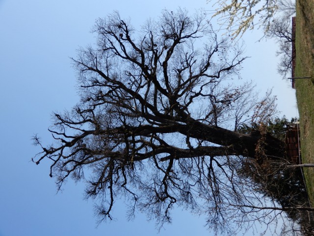 28. 3. 2022 - foto