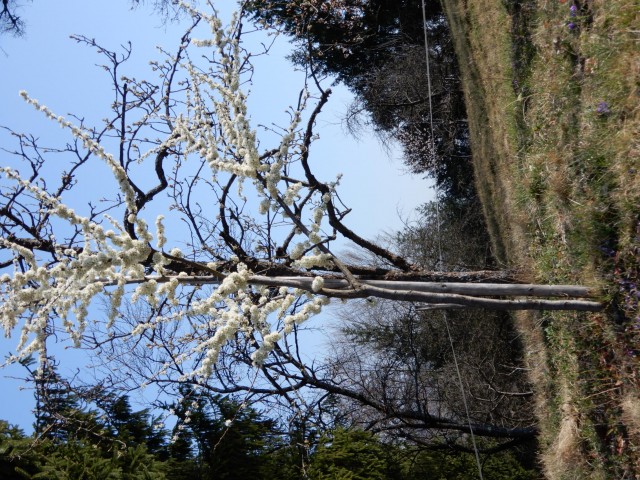28. 3. 2022 - foto