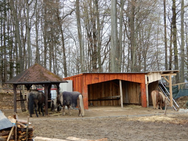 4.4.2022 - foto
