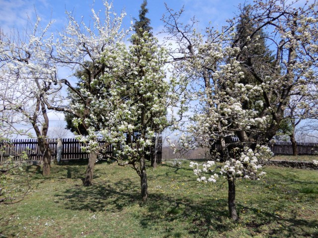 4.4.2022 - foto