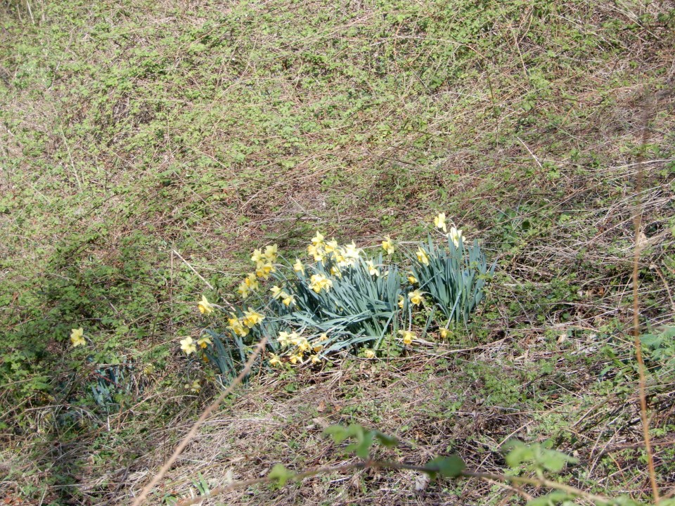 11. 4. 2022 - foto povečava