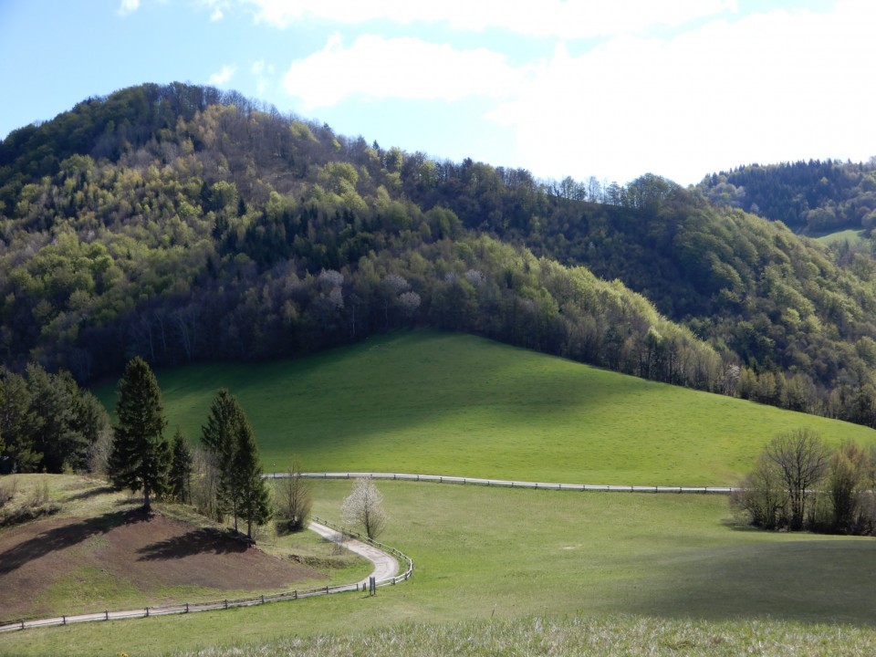 25. 4. 2022 - foto povečava