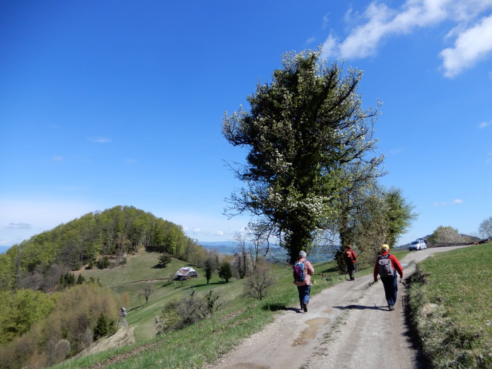 25. 4. 2022 - foto povečava