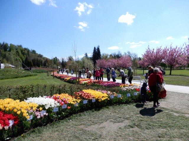 29. 4. 2022 - foto