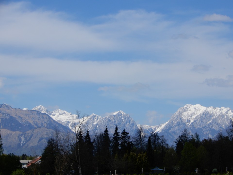 29. 4. 2022 - foto povečava