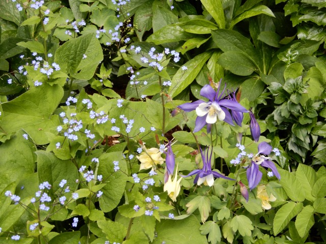 28. 4. 2022 - foto