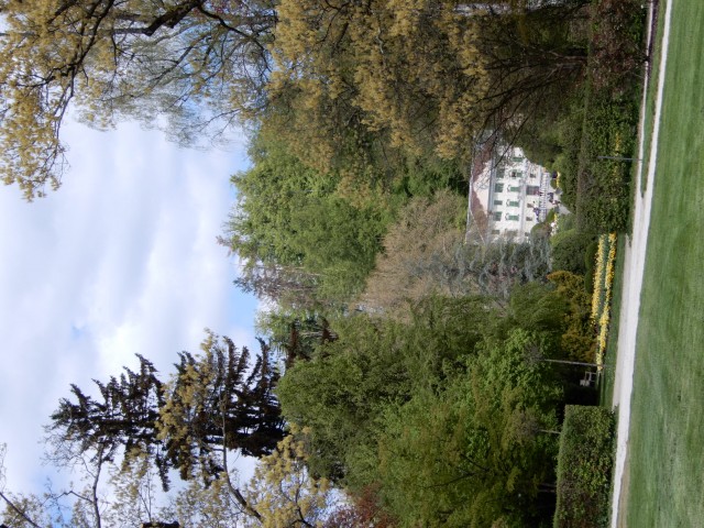 28. 4. 2022 - foto