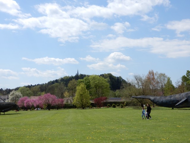 28. 4. 2022 - foto
