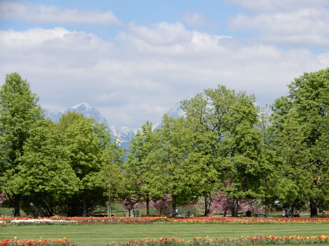 28. 4. 2022 - foto