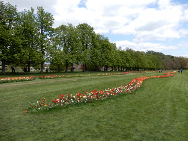 28. 4. 2022 - foto
