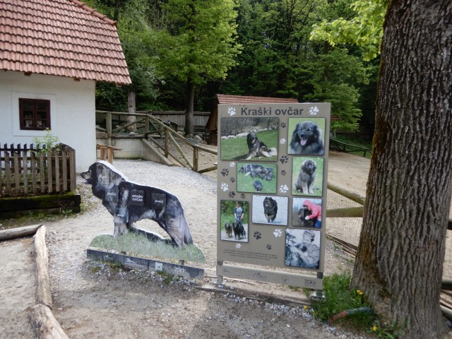 8. 5. 2022 - foto