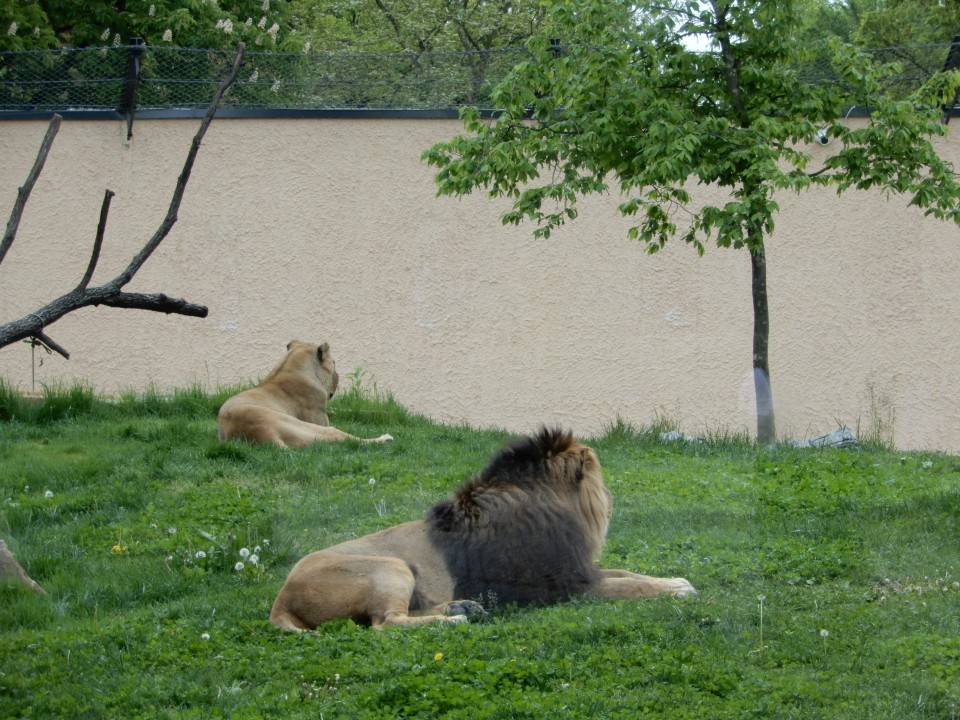 8. 5. 2022 - foto povečava