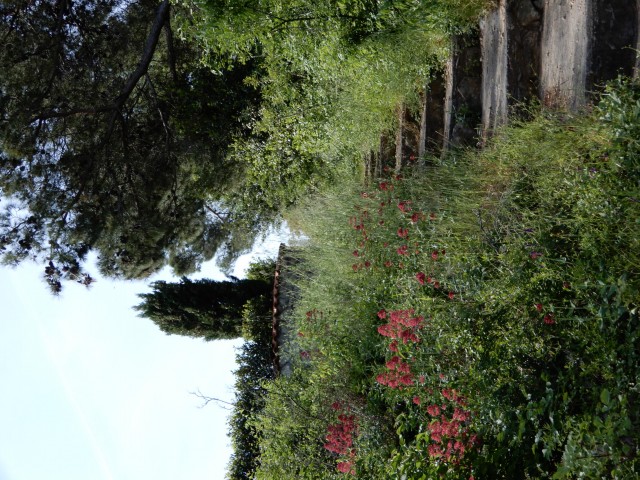 12. - 15. 5. 2022 - foto