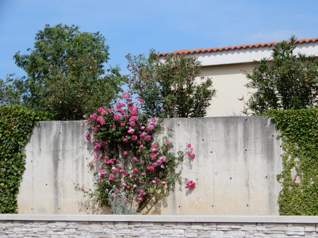 12. - 15. 5. 2022 - foto