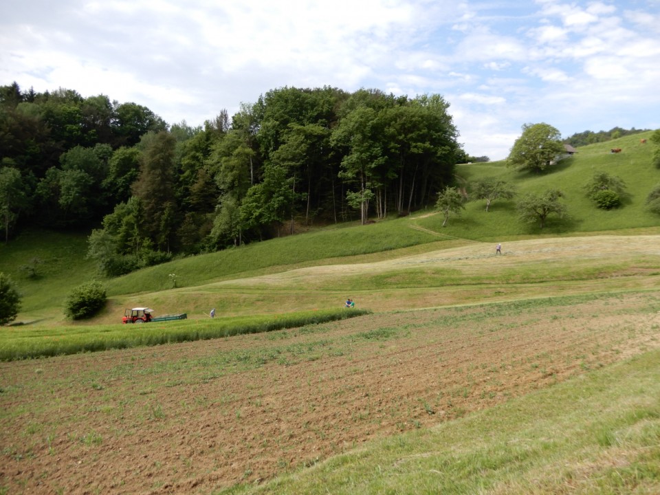 21. 5. 2022 - foto povečava