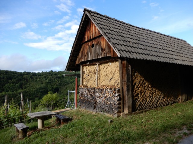 6. 6. 2022 - foto