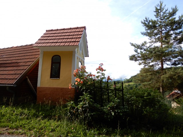 6. 6. 2022 - foto