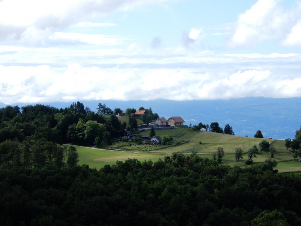 6. 6. 2022 - foto povečava