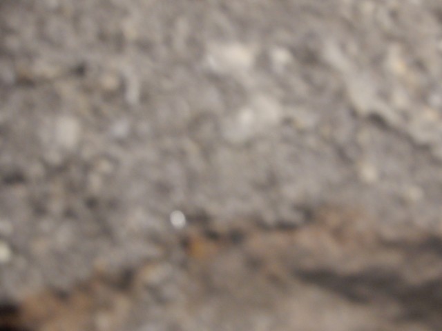 10. 8. 2022 - foto