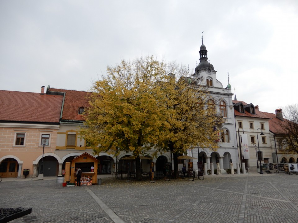 13. 10. 2022 - foto povečava