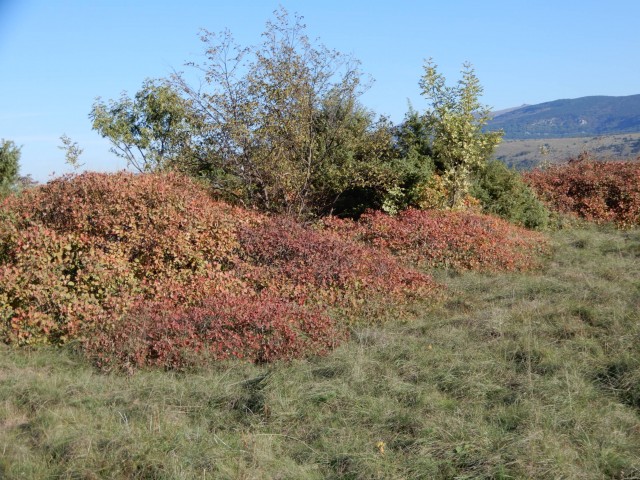 7. 11. 2022 - foto