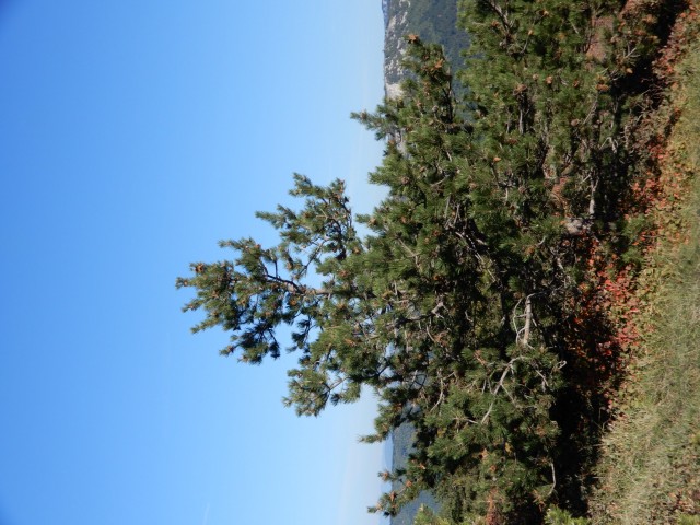 7. 11. 2022 - foto