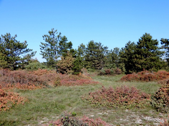 7. 11. 2022 - foto