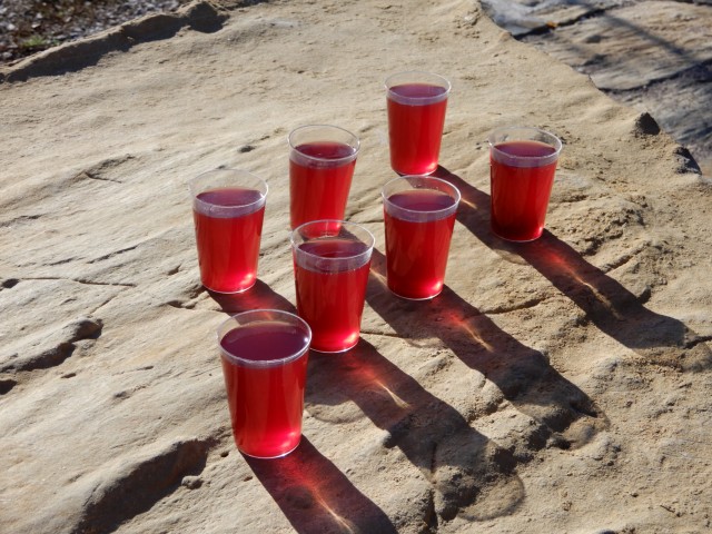 7. 11. 2022 - foto