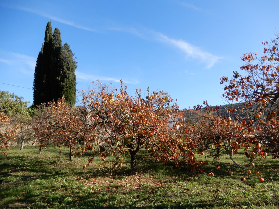 7. 11. 2022 - foto povečava