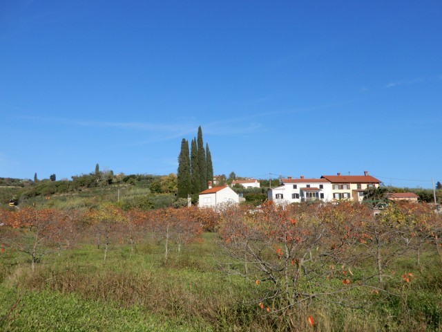 7. 11. 2022 - foto