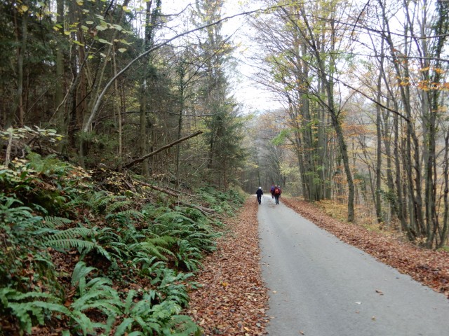14. 11. 2022 - foto