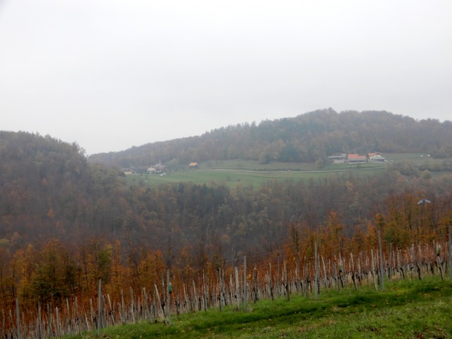 14. 11. 2022 - foto