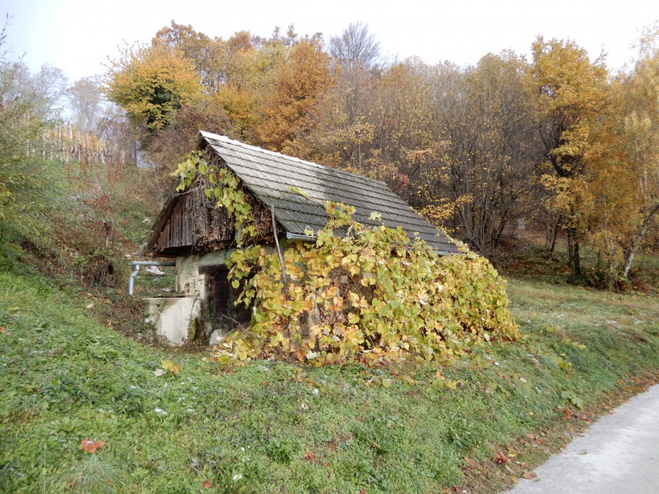 21. 11. 2022 - foto povečava