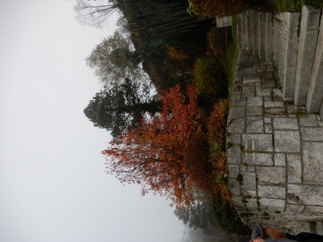 24. 11. 2022 - foto