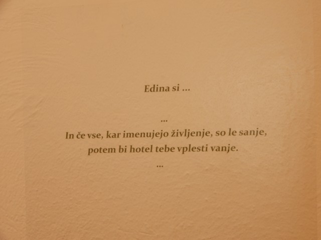 24. 11. 2022 - foto