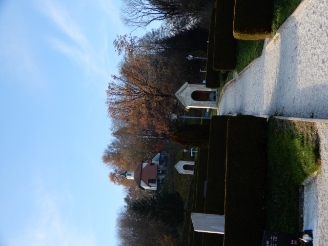 24. 11. 2022 - foto
