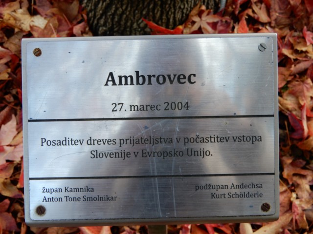 24. 11. 2022 - foto